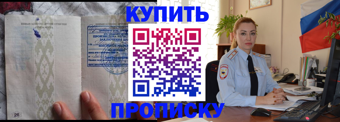 прописка поиск в Шлиссельбурге